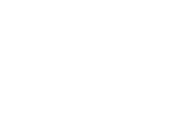 Berkeley Varitronics Systems Wireless Detection